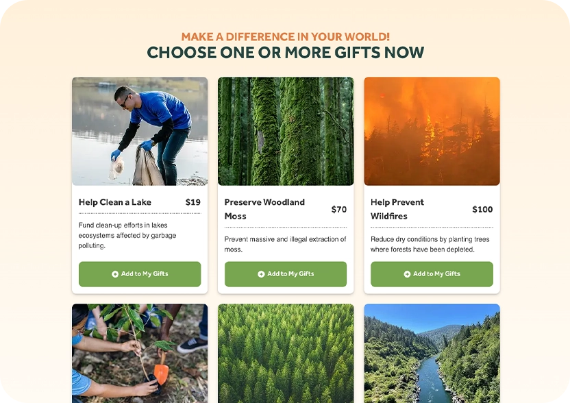 250602 Ffz Website Updates Gift Catalog Step 1 V1