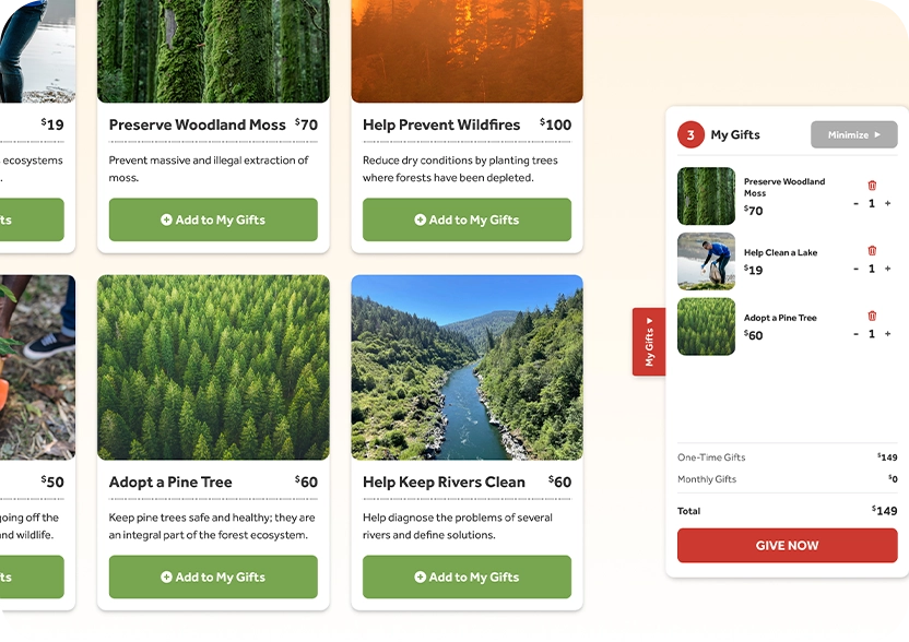 250602 Ffz Website Updates Gift Catalog Step 2 V1