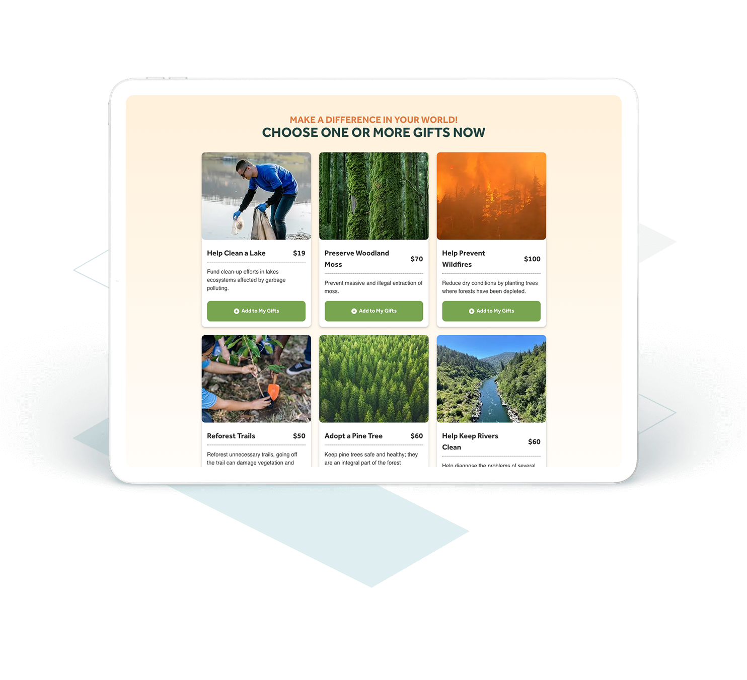 250602 Ffz Website Updates Gift Catalog V1