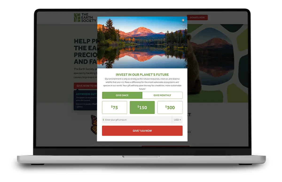 250602 Ffz Website Updates Lightbox Df Laptop V2