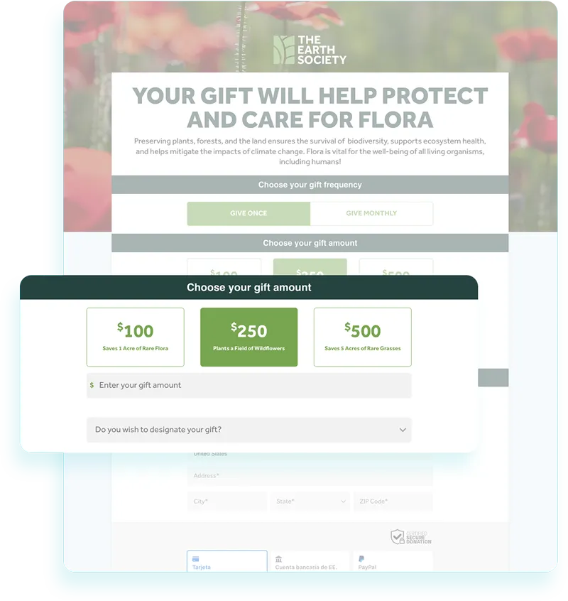 Dynamic Gift 1x
